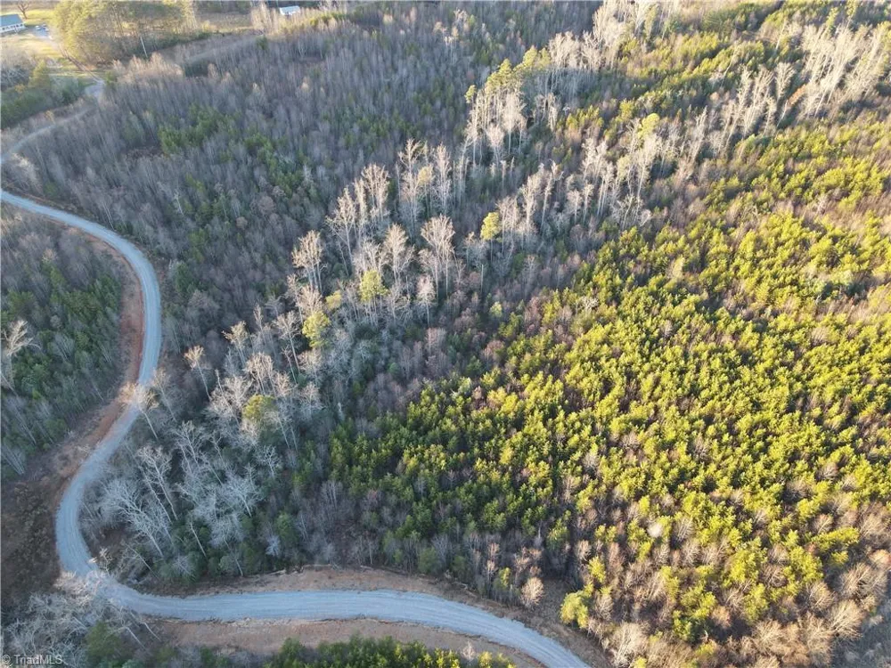 00 Billings Hill Church Road Traphill, NC 28685