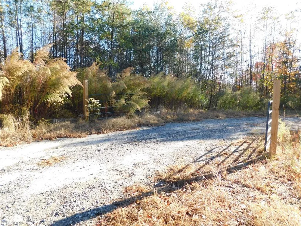 00 Billings Hill Church Road Traphill, NC 28685