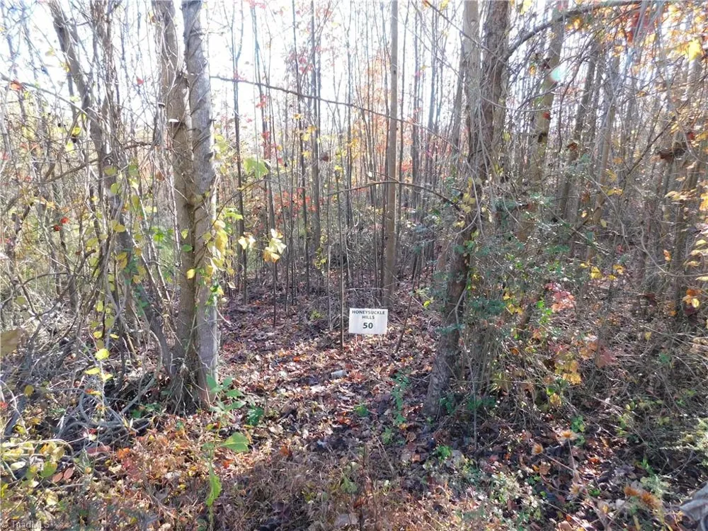 00 Billings Hill Church Road Traphill, NC 28685