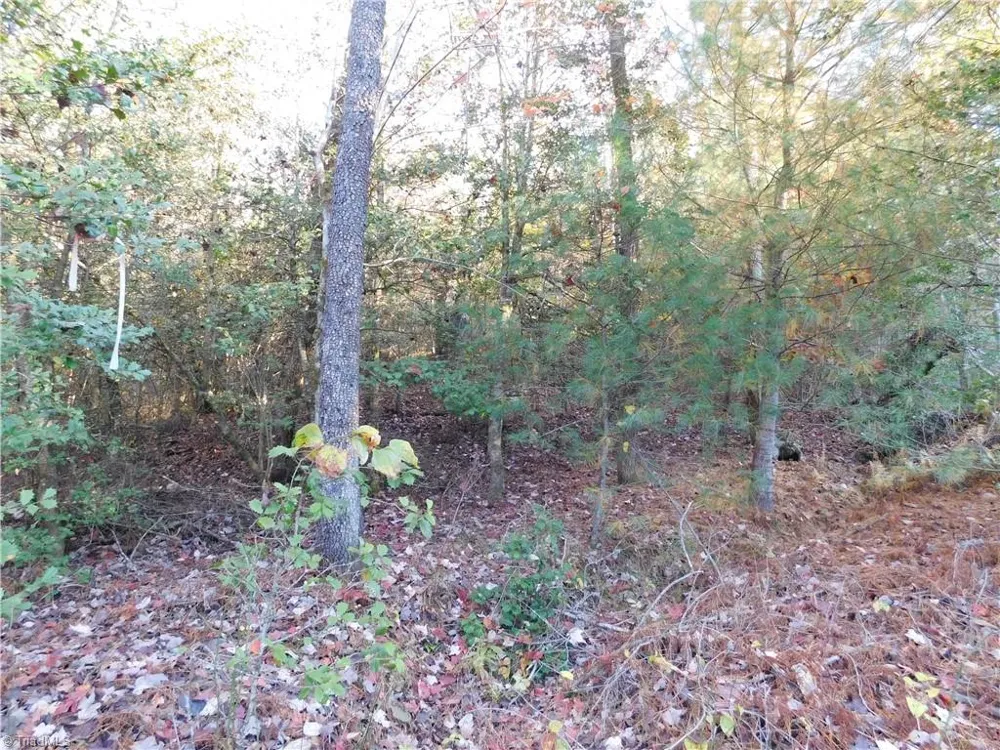 00 Billings Hill Church Road Traphill, NC 28685