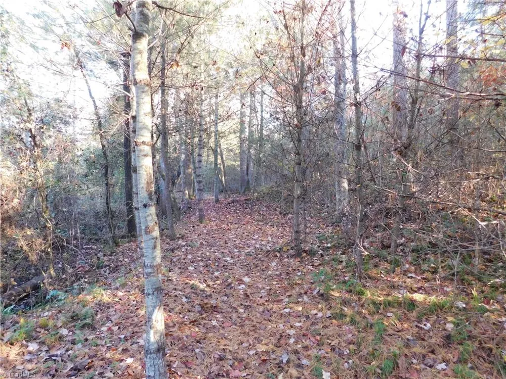 00 Billings Hill Church Road Traphill, NC 28685