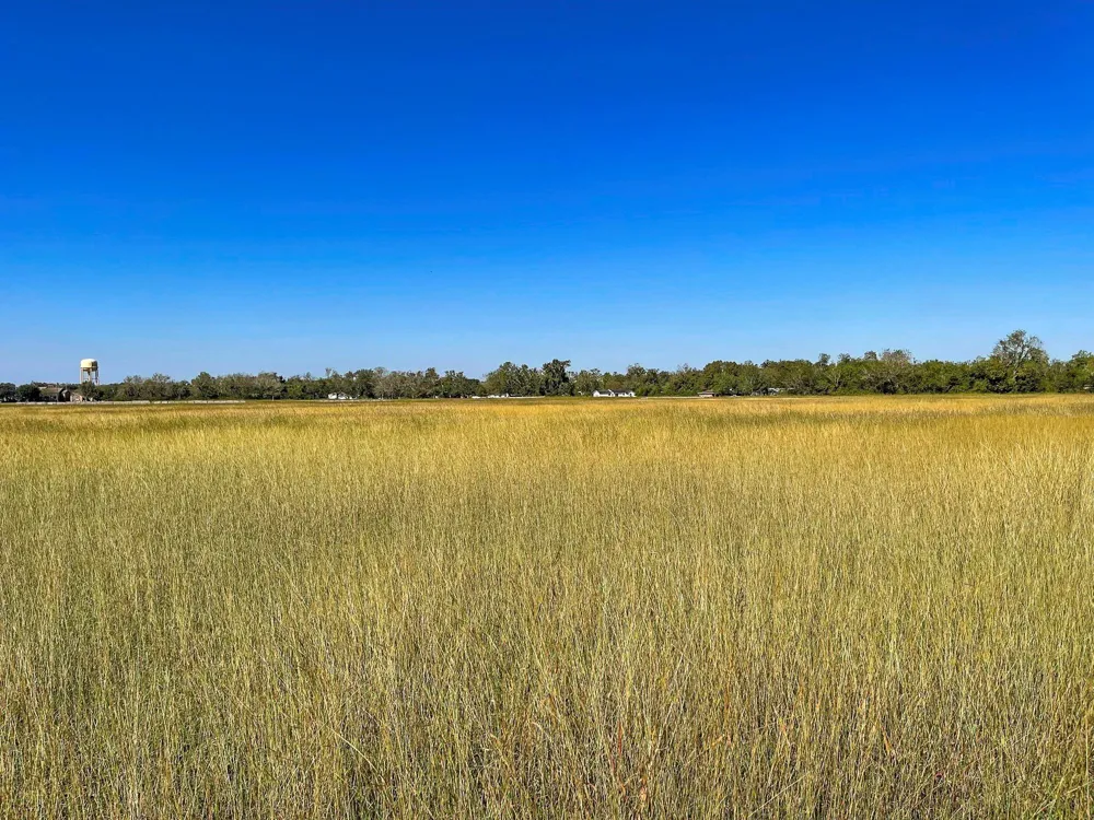 2320 County Road 166 Wharton, TX 77488