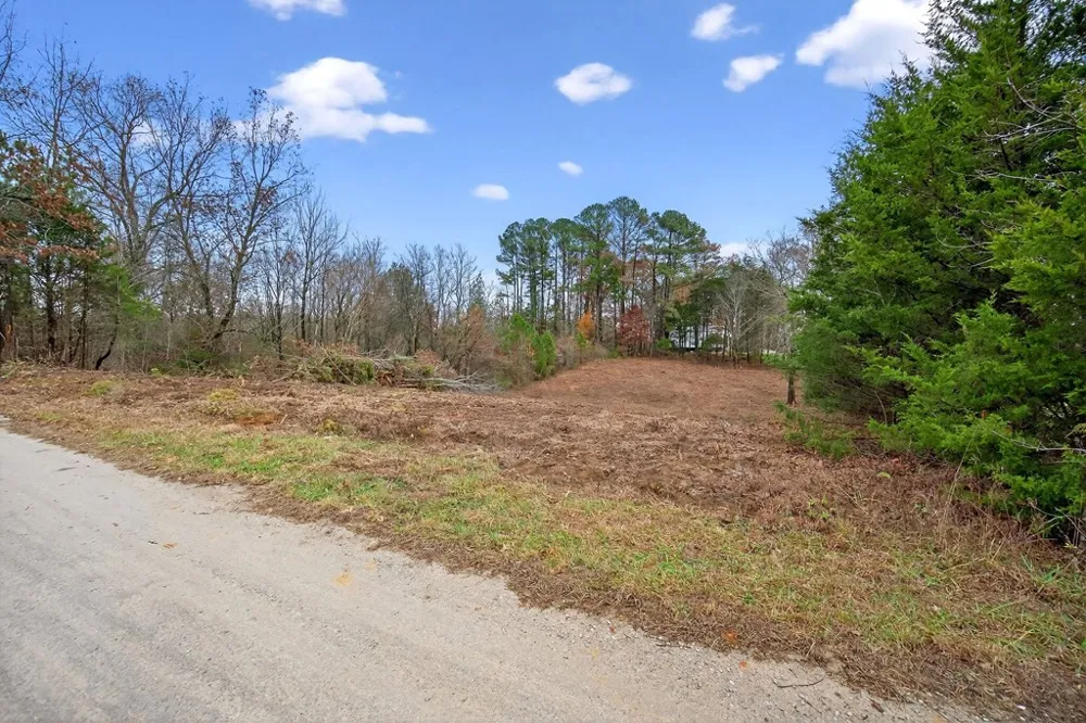 0 N Center Point Acres Walling, TN 38587