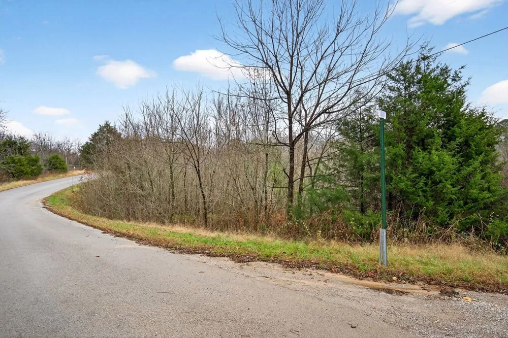 0 N Center Point Acres Walling, TN 38587