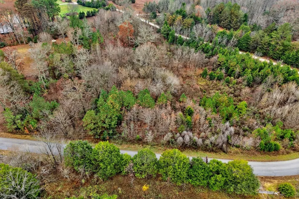 0 N Center Point Acres Walling, TN 38587