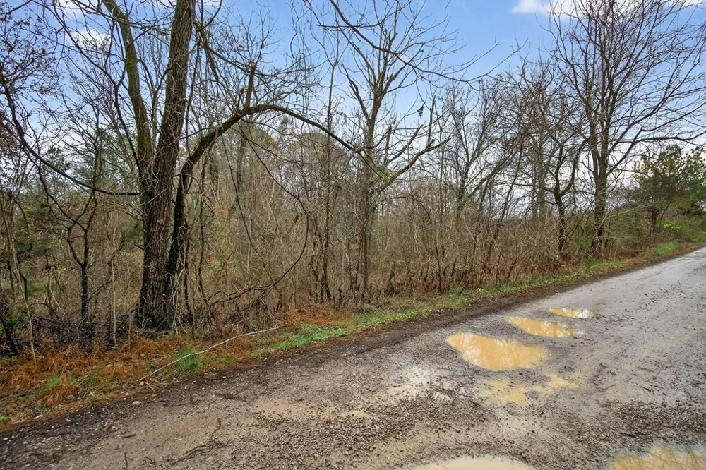 0 N Center Point Acres Walling, TN 38587