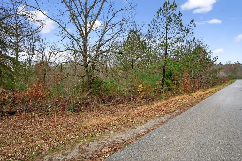 0 N Center Point Acres Walling, TN 38587