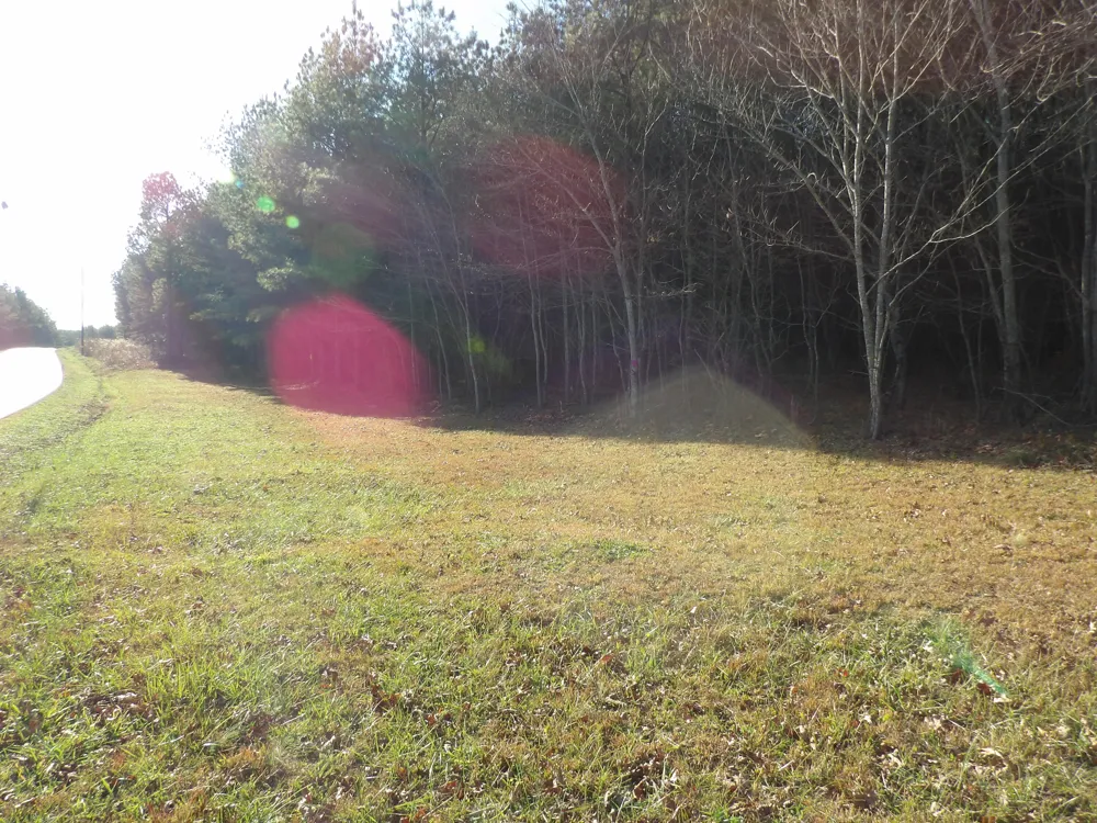 26 Summercity Road Evensville, TN 37332