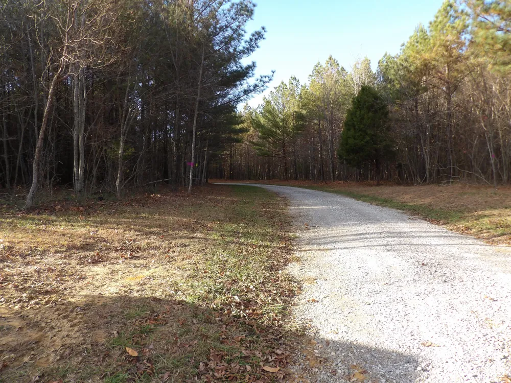 26 Summercity Road Evensville, TN 37332