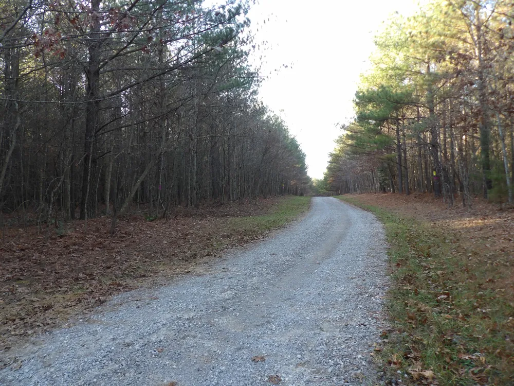 26 Summercity Road Evensville, TN 37332