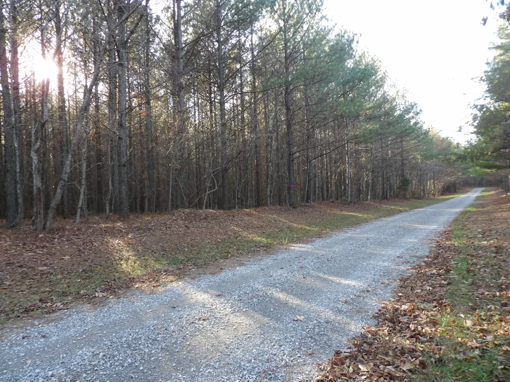 26 Summercity Road Evensville, TN 37332