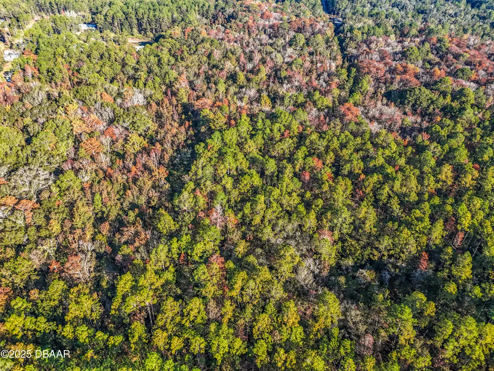 SW 6th Terrace Palatka, FL 32177