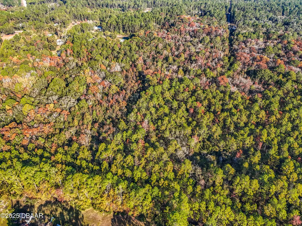 SW 6th Terrace Palatka, FL 32177