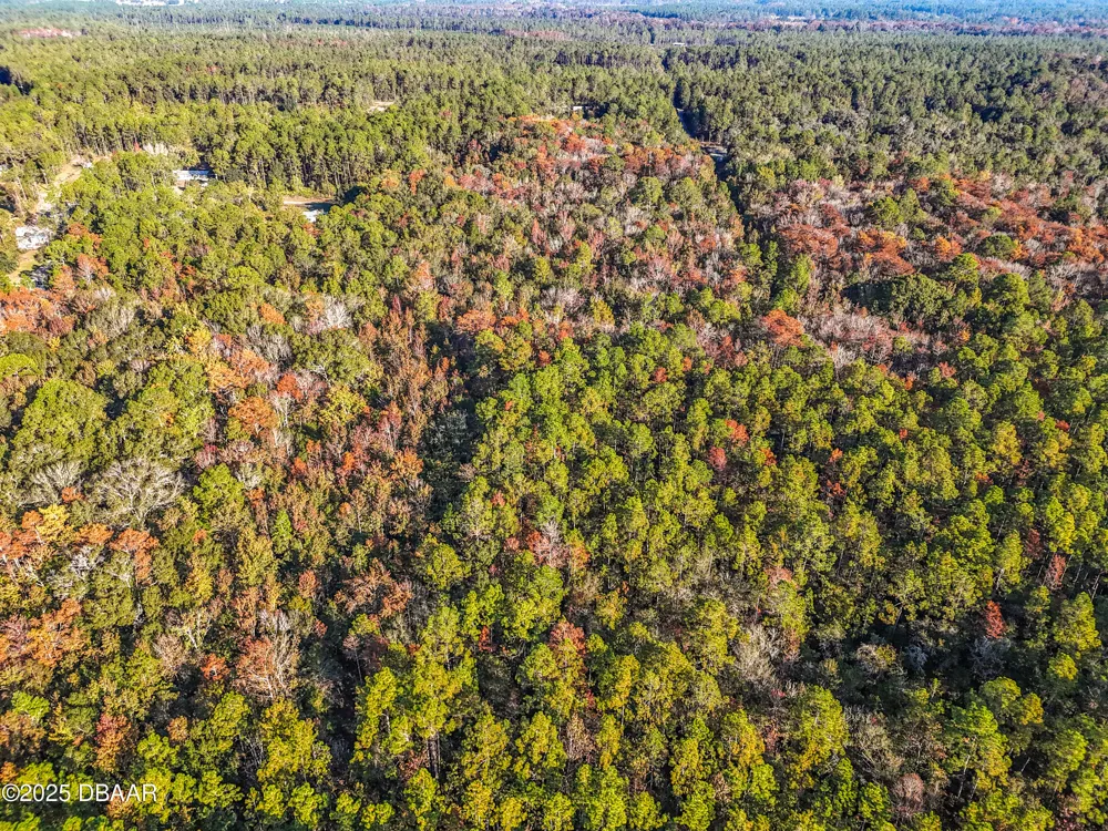 SW 6th Terrace Palatka, FL 32177