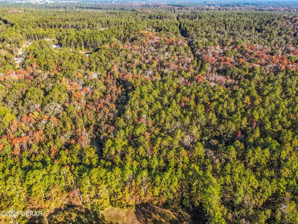 SW 6th Terrace Palatka, FL 32177