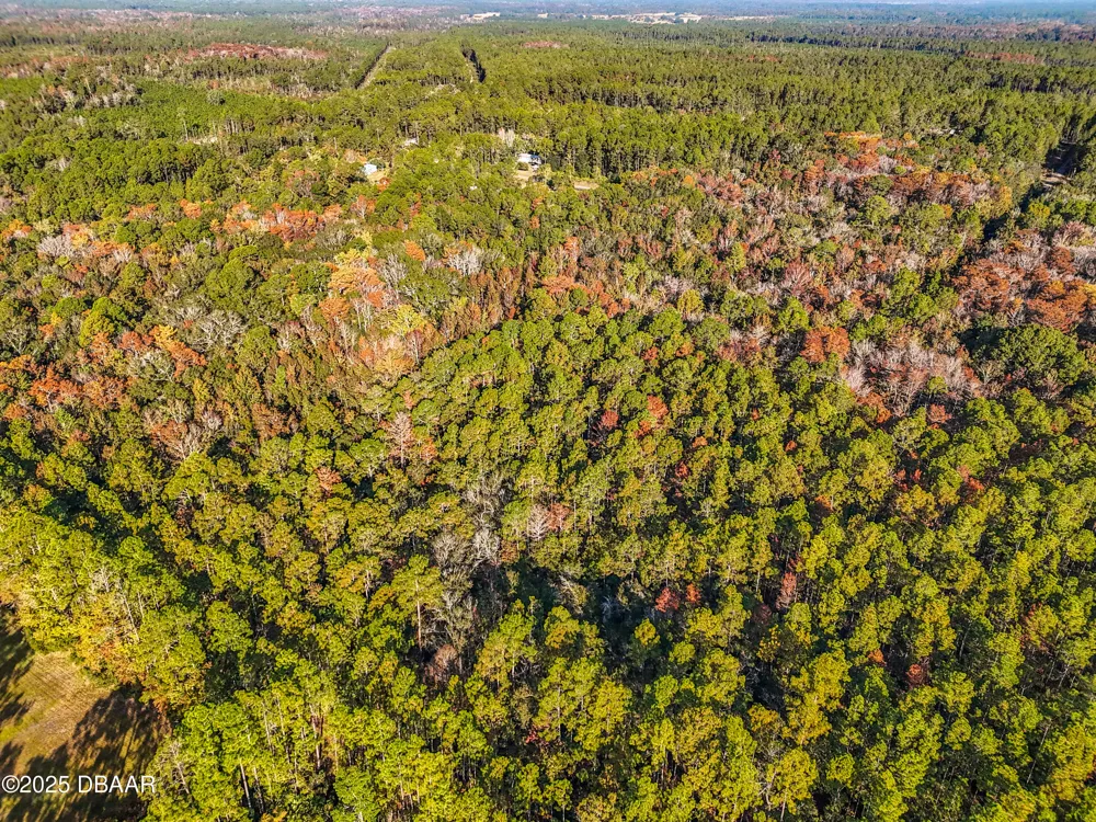 SW 6th Terrace Palatka, FL 32177