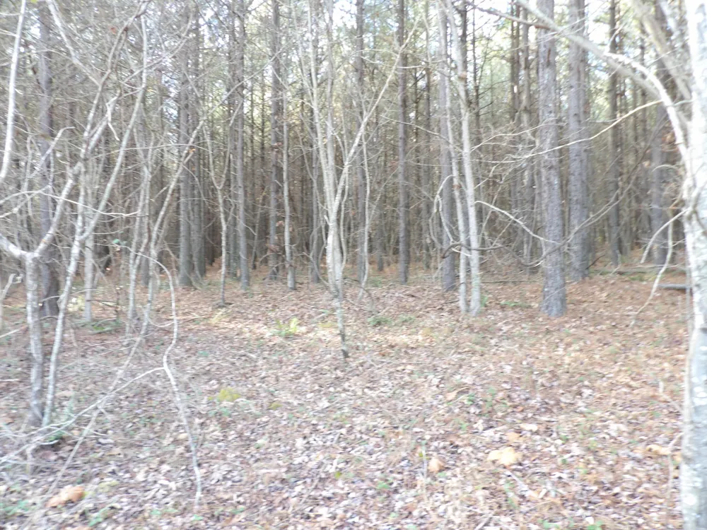 22 Summercity Road Evensville, TN 37332