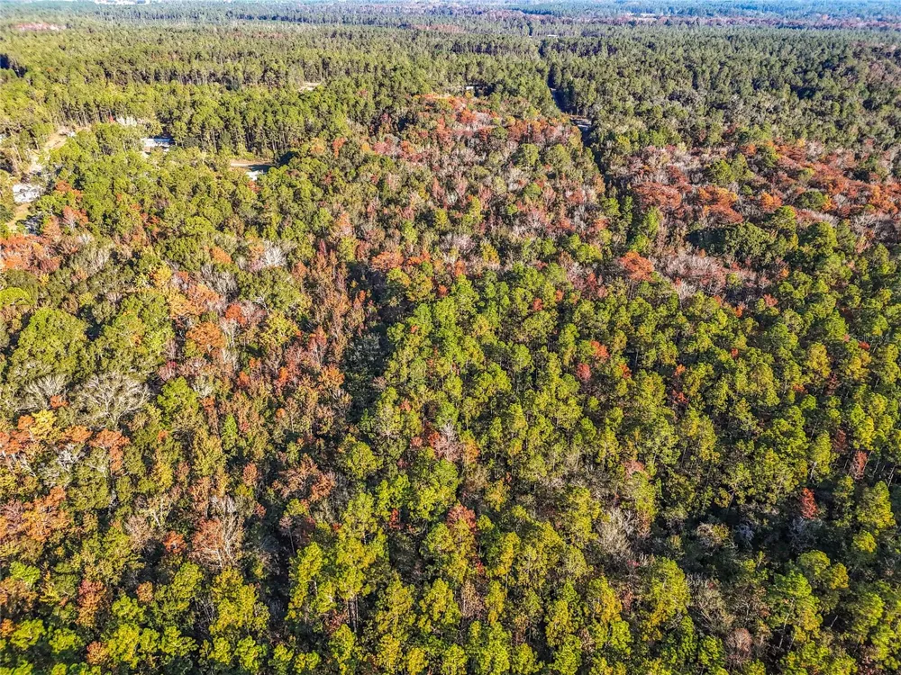SW 6TH TERRACE Palatka, FL 32177