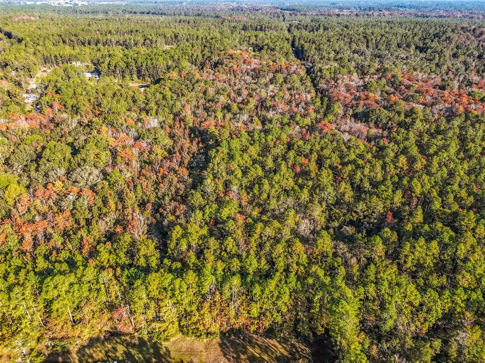SW 6TH TERRACE Palatka, FL 32177