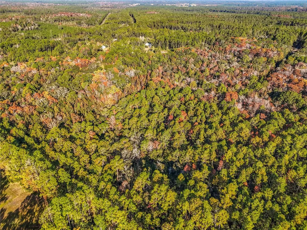 SW 6TH TERRACE Palatka, FL 32177