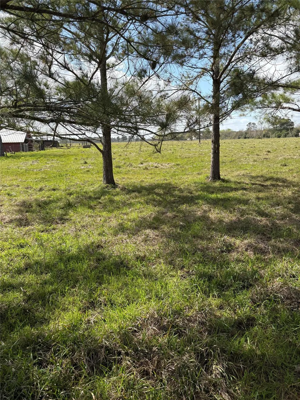28161 W Us Hwy 90 Beaumont, TX 77713