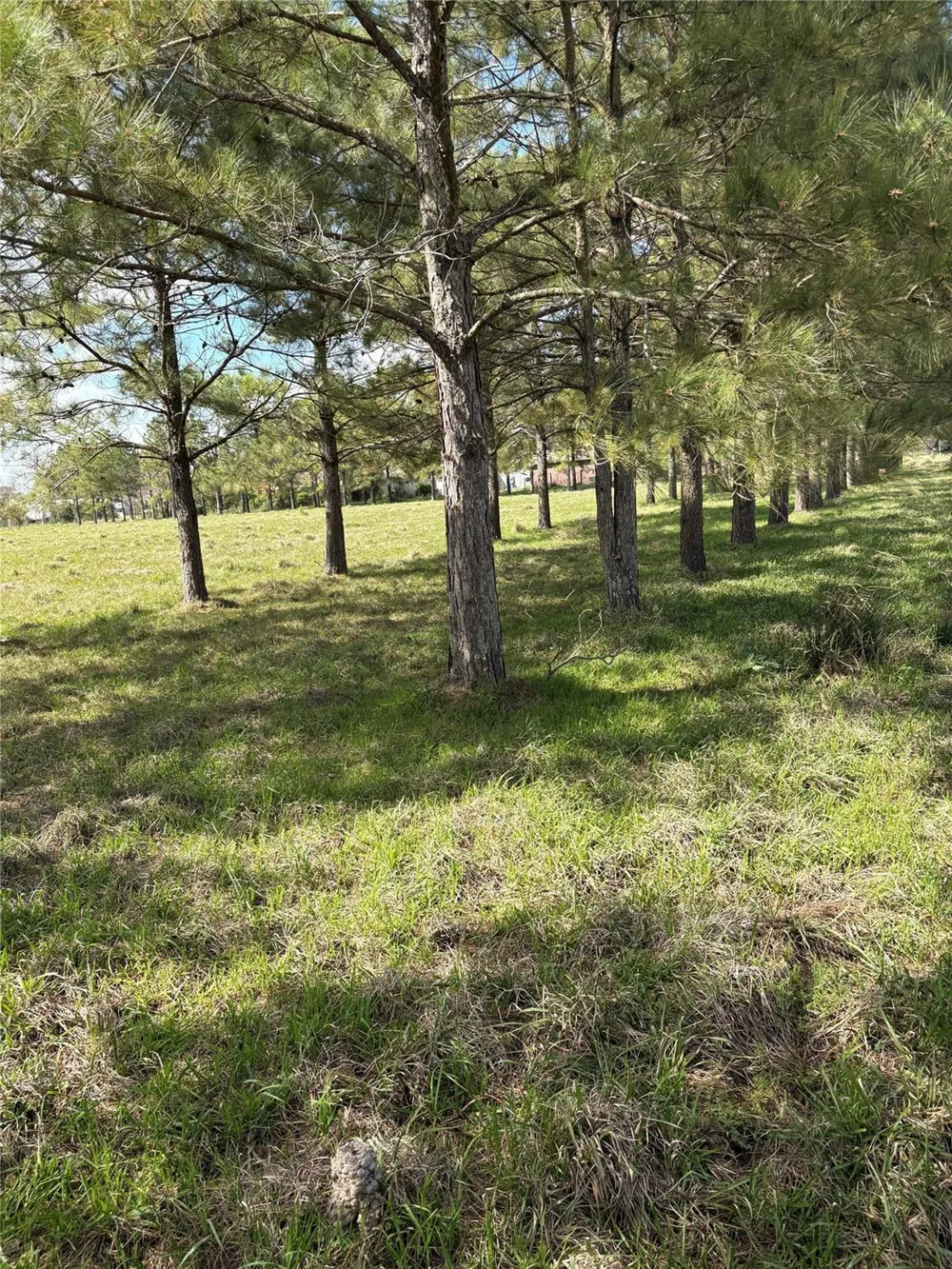 28161 W Us Hwy 90 Beaumont, TX 77713