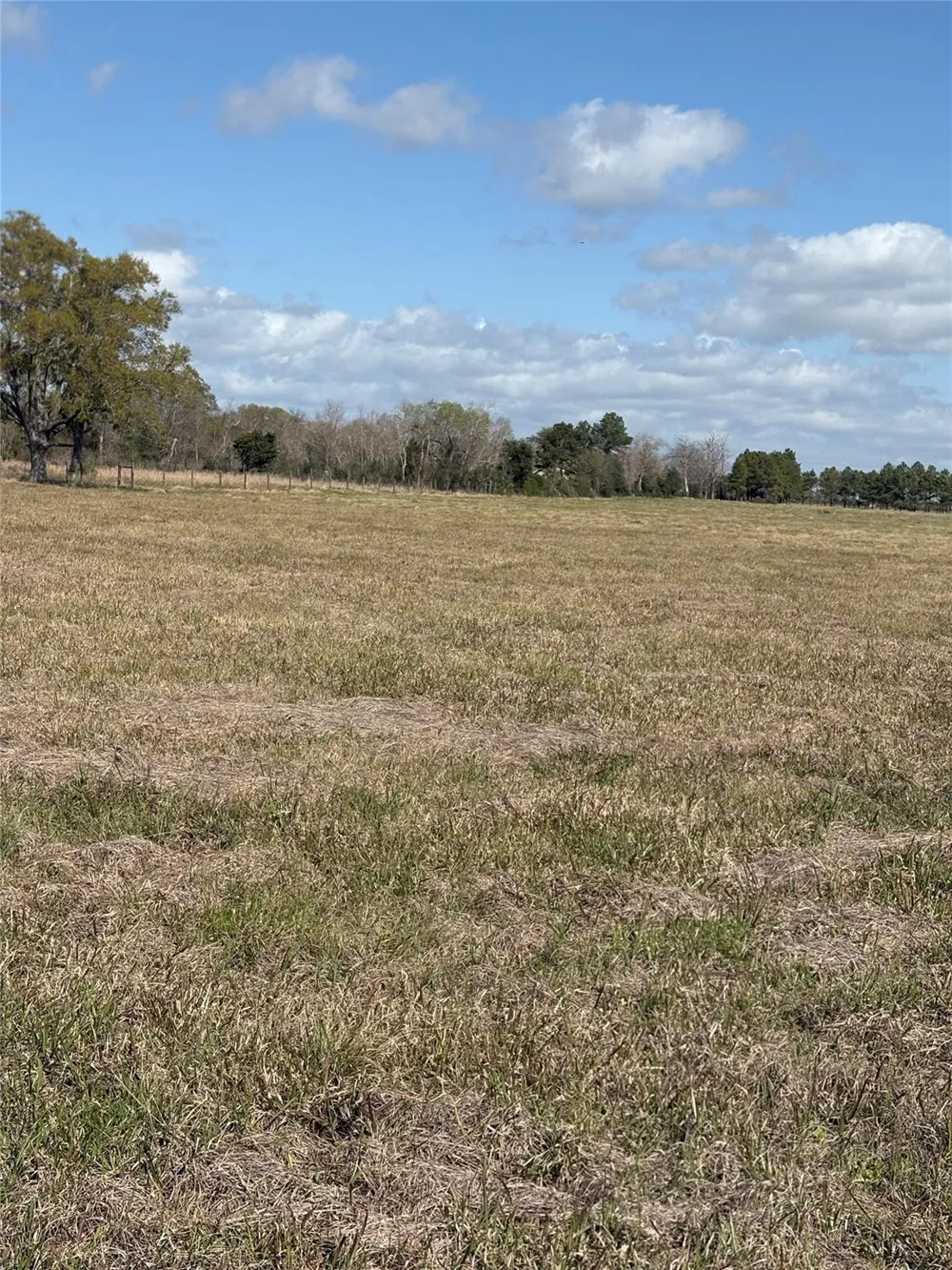 28161 W Us Hwy 90 Beaumont, TX 77713