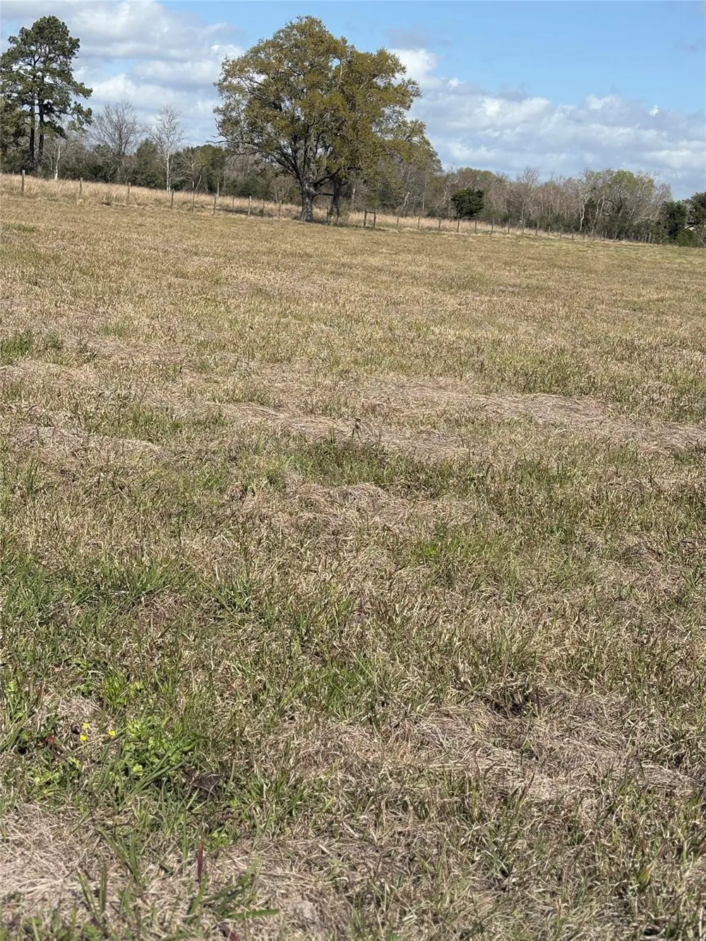28161 W Us Hwy 90 Beaumont, TX 77713