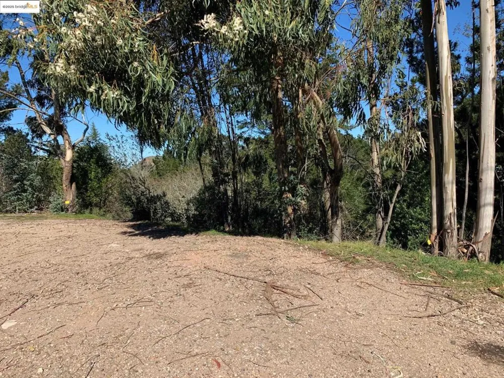 89 Starkville Ct Orinda, CA 94563