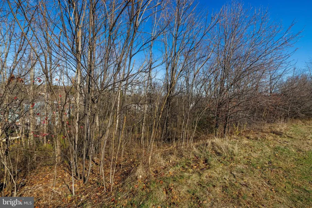 2132 WILLOW HILL DRIVE Harrisonburg, VA 22801