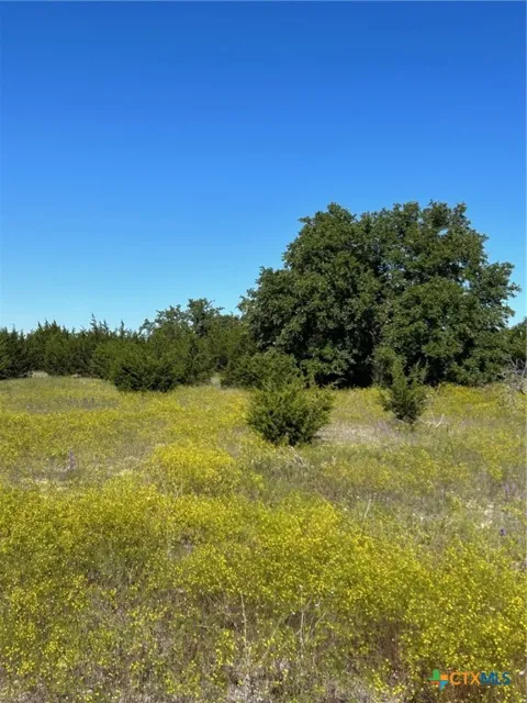 102 Cedar Bluff Loop