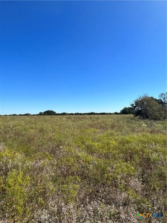 110 Cedar Bluff Loop Gatesville, TX 76528