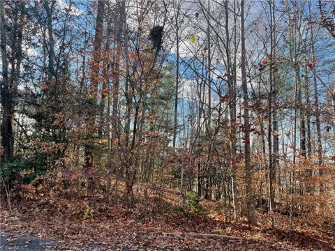 Lot 8 Hickory Ridge Road