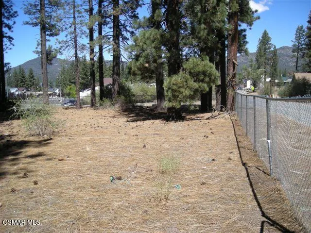 776 Knickerbocker Road Big Bear, CA 92315