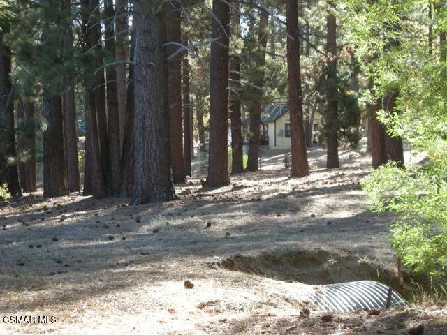 776 Knickerbocker Road Big Bear, CA 92315