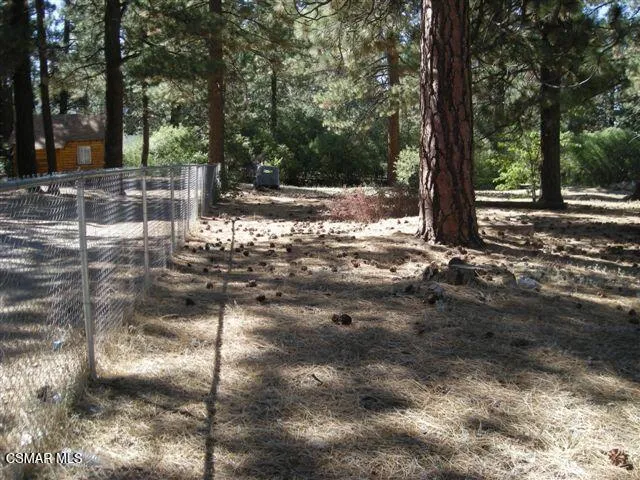 776 Knickerbocker Road Big Bear, CA 92315