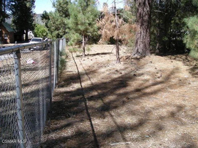 776 Knickerbocker Road Big Bear, CA 92315