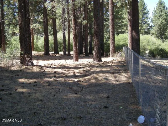 776 Knickerbocker Road Big Bear, CA 92315