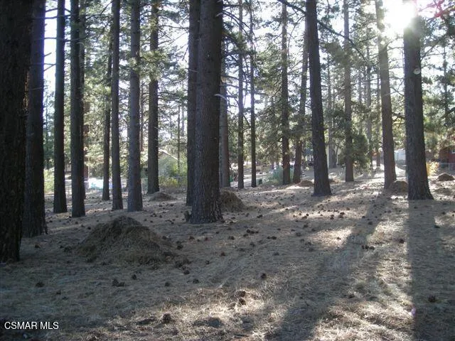 776 Knickerbocker Road Big Bear, CA 92315