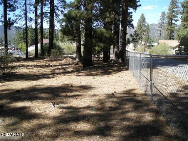 776 Knickerbocker Road Big Bear, CA 92315