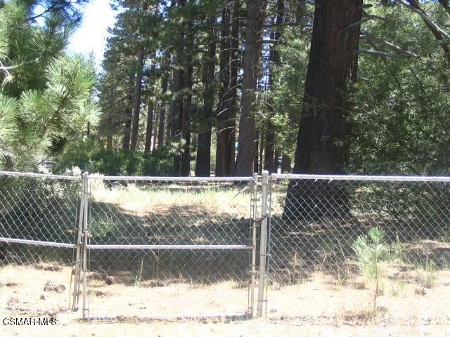776 Knickerbocker Road Big Bear, CA 92315