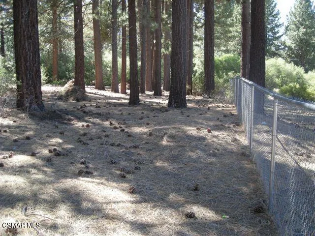 776 Knickerbocker Road Big Bear, CA 92315