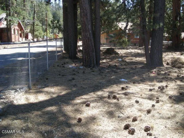 776 Knickerbocker Road Big Bear, CA 92315