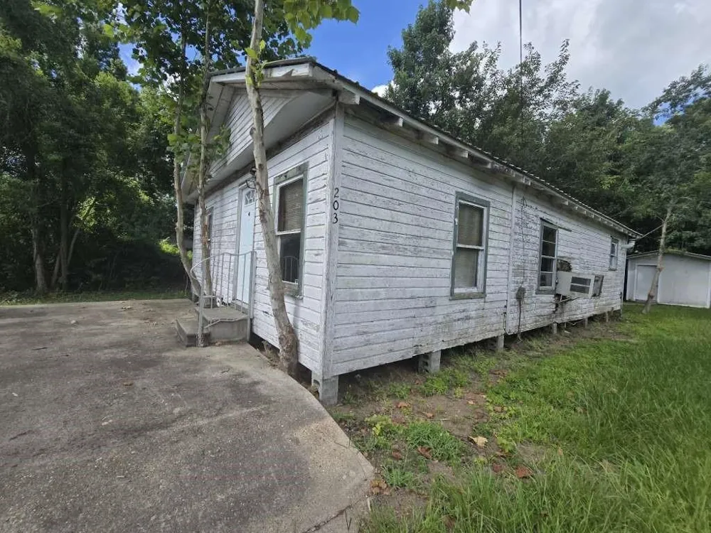 203 Cedar Circle Daisetta, TX 77357