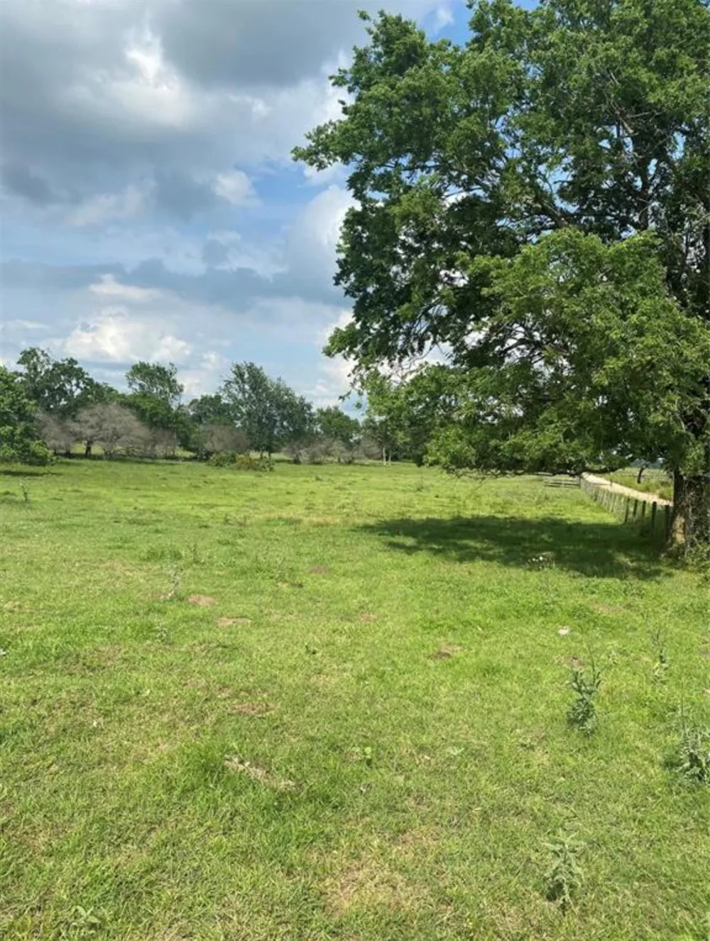 Terrace Road Chappell Hill, TX 77426