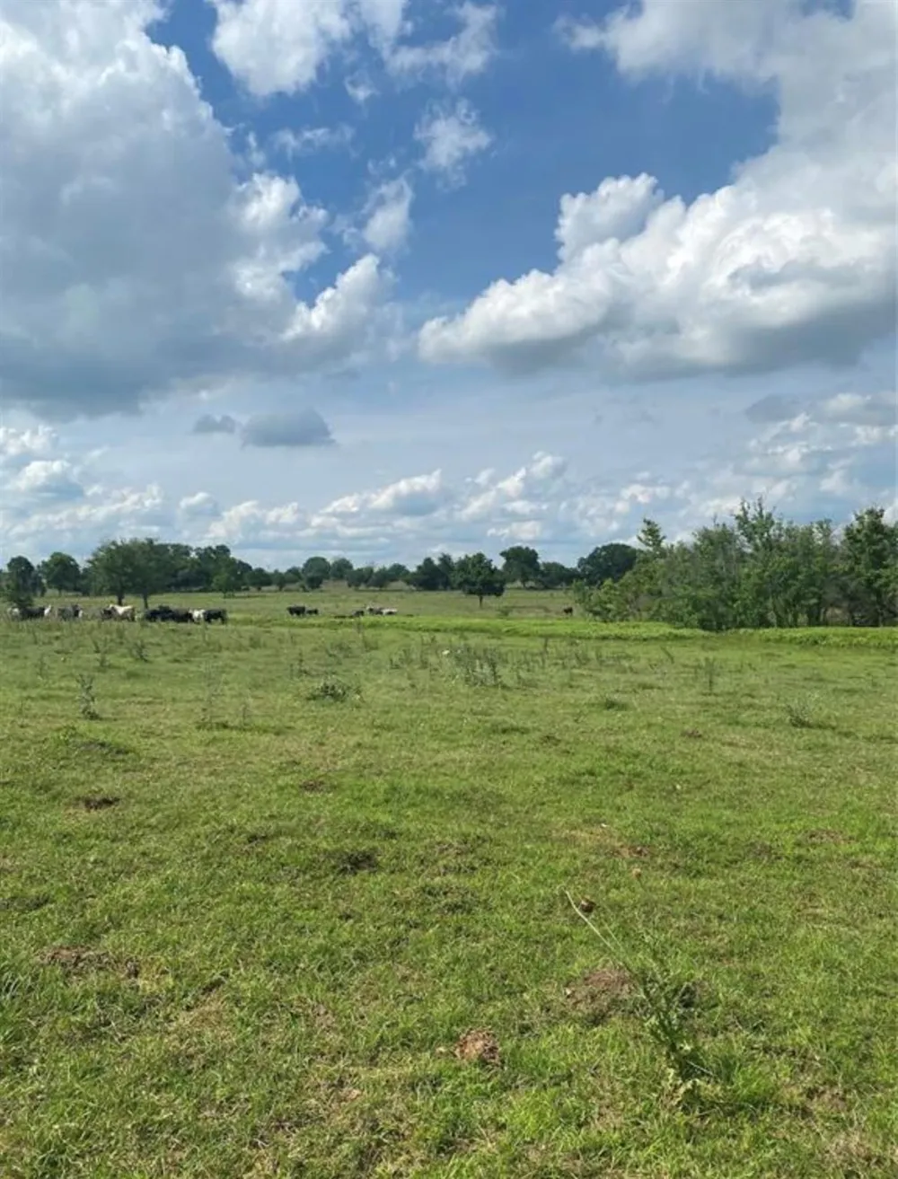 Terrace Road Chappell Hill, TX 77426