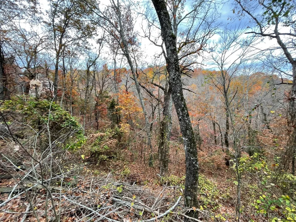 S 4507 ROAD Vian, OK 74962