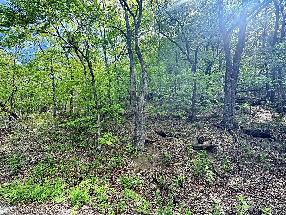 S 4507 ROAD Vian, OK 74962