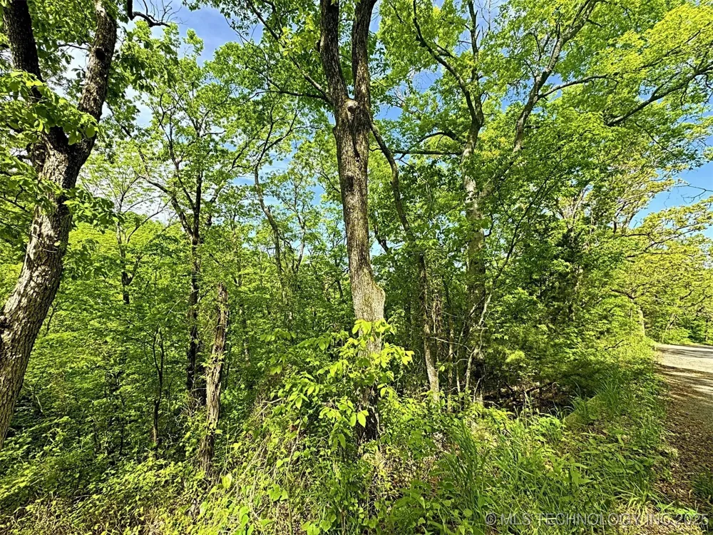 S 4507 ROAD Vian, OK 74962