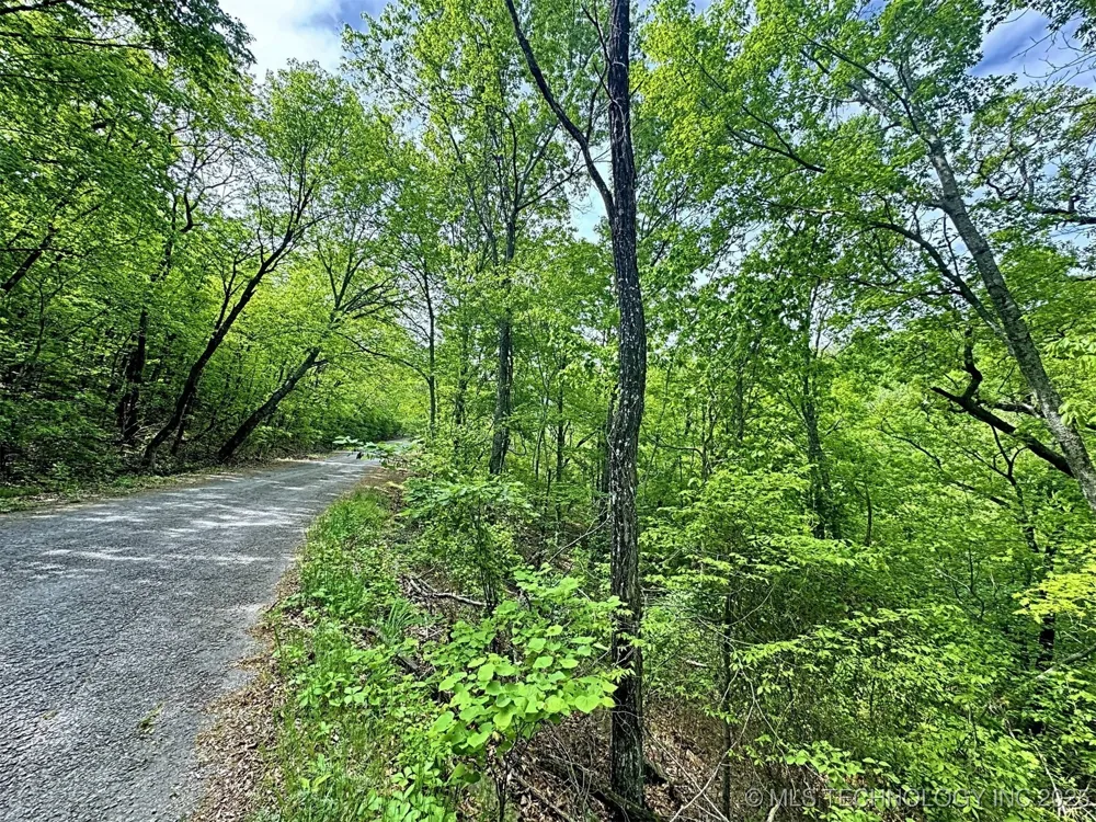 S 4507 ROAD Vian, OK 74962